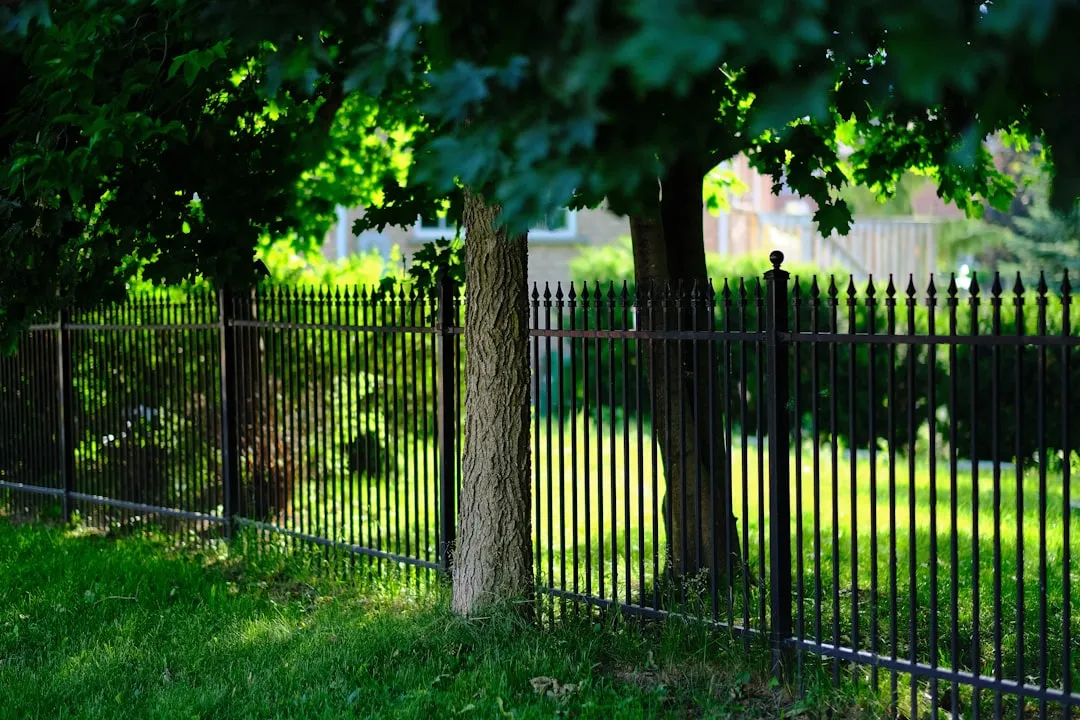 Sichtschutz im Garten natürlich gestalten: 6 Ideen mit Hecken, Gräsern und Kletterpflanzen